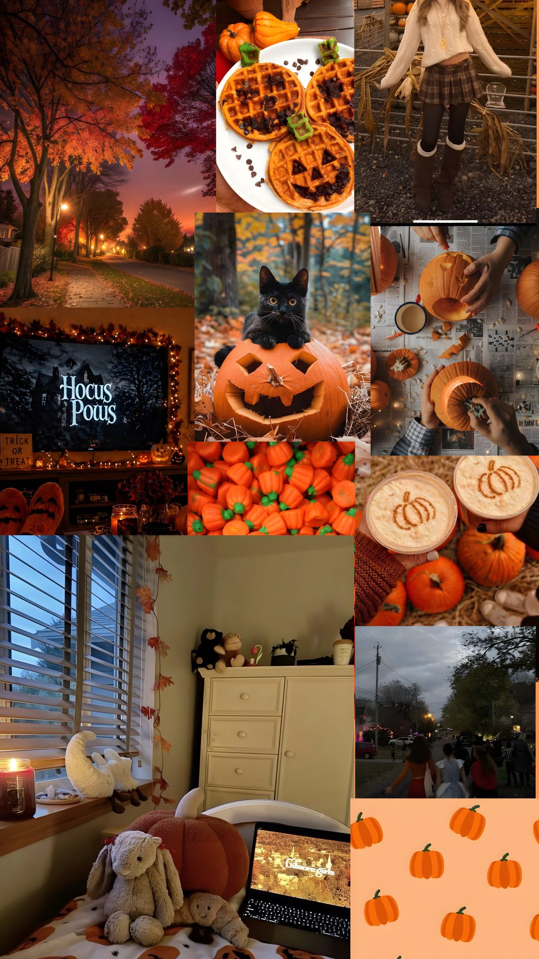 a collage of photos with pumpkins and other things Halloween Fall Aesthetic saddle brown