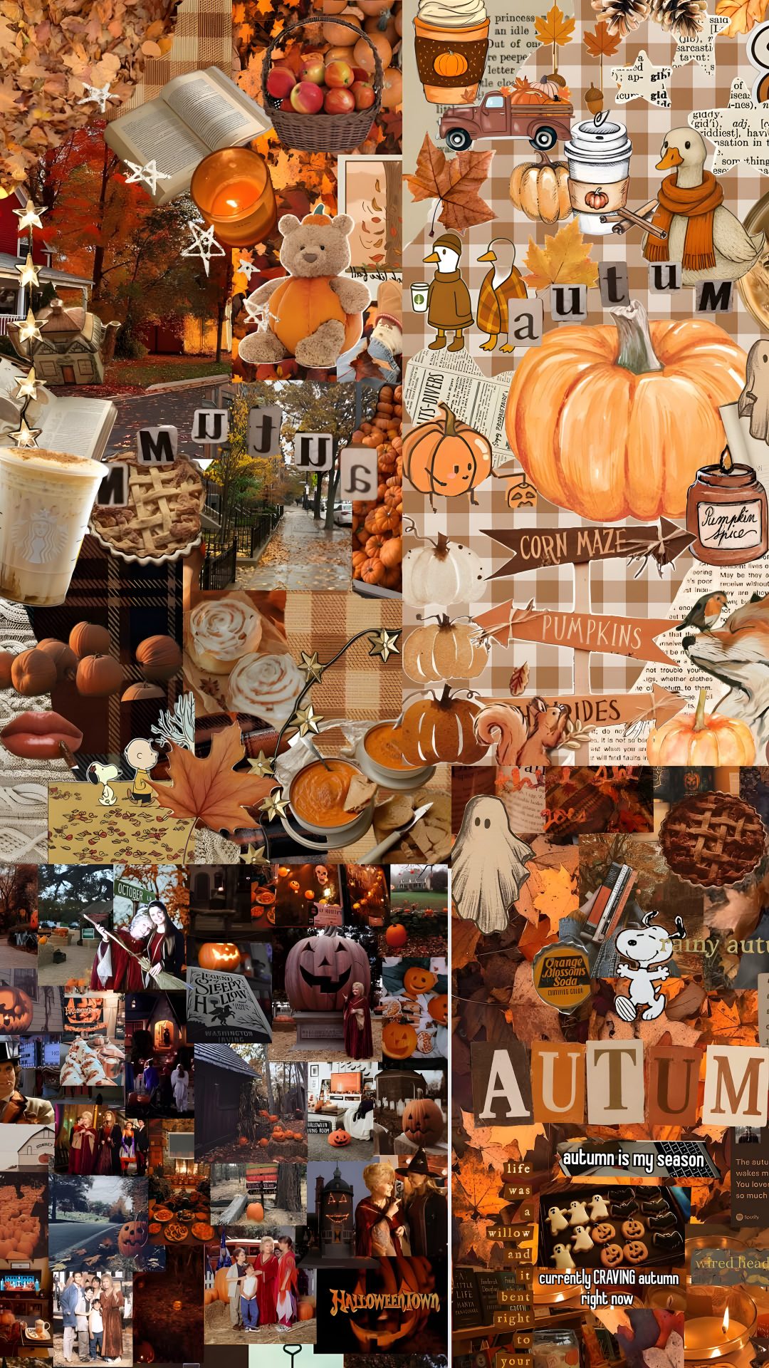 a collage of pictures with pumpkins and other things in them, including an autumn theme Autumn Aesthetic Autumn Halloween sienna