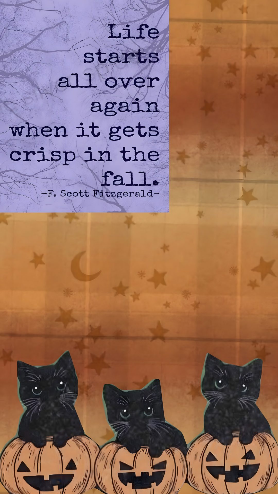 three black cats sitting on top of pumpkins with a quote above them that says life starts all over again when it gets crisp in the fall Halloween Quotes Aesthetic sienna