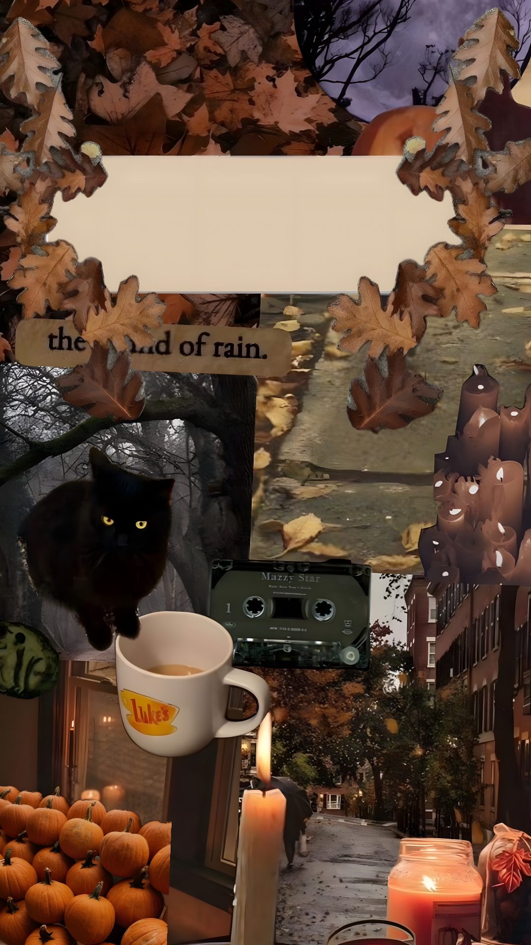 a collage of pictures with pumpkins, candles and a cat Halloween Gilmore Halloween, Gilmore Girls, Iphone, Collage, Fall Winter, dark olive green