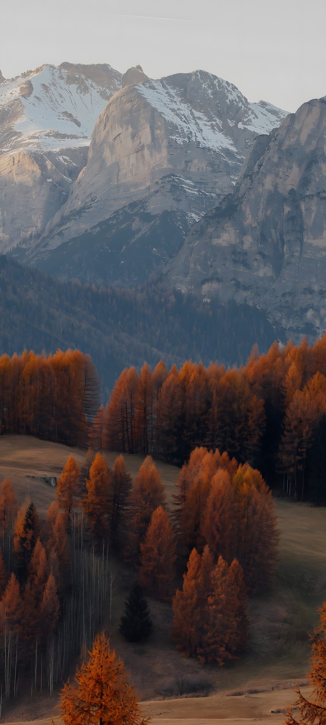 the mountains are covered in snow and orange trees Halloween Mountain dark slate gray