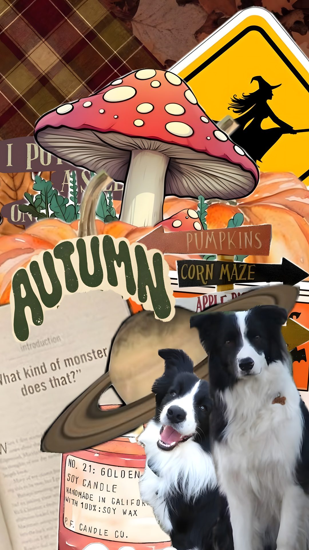 two black and white dogs standing next to each other in front of a mushroom sign Halloween Border Collie peru