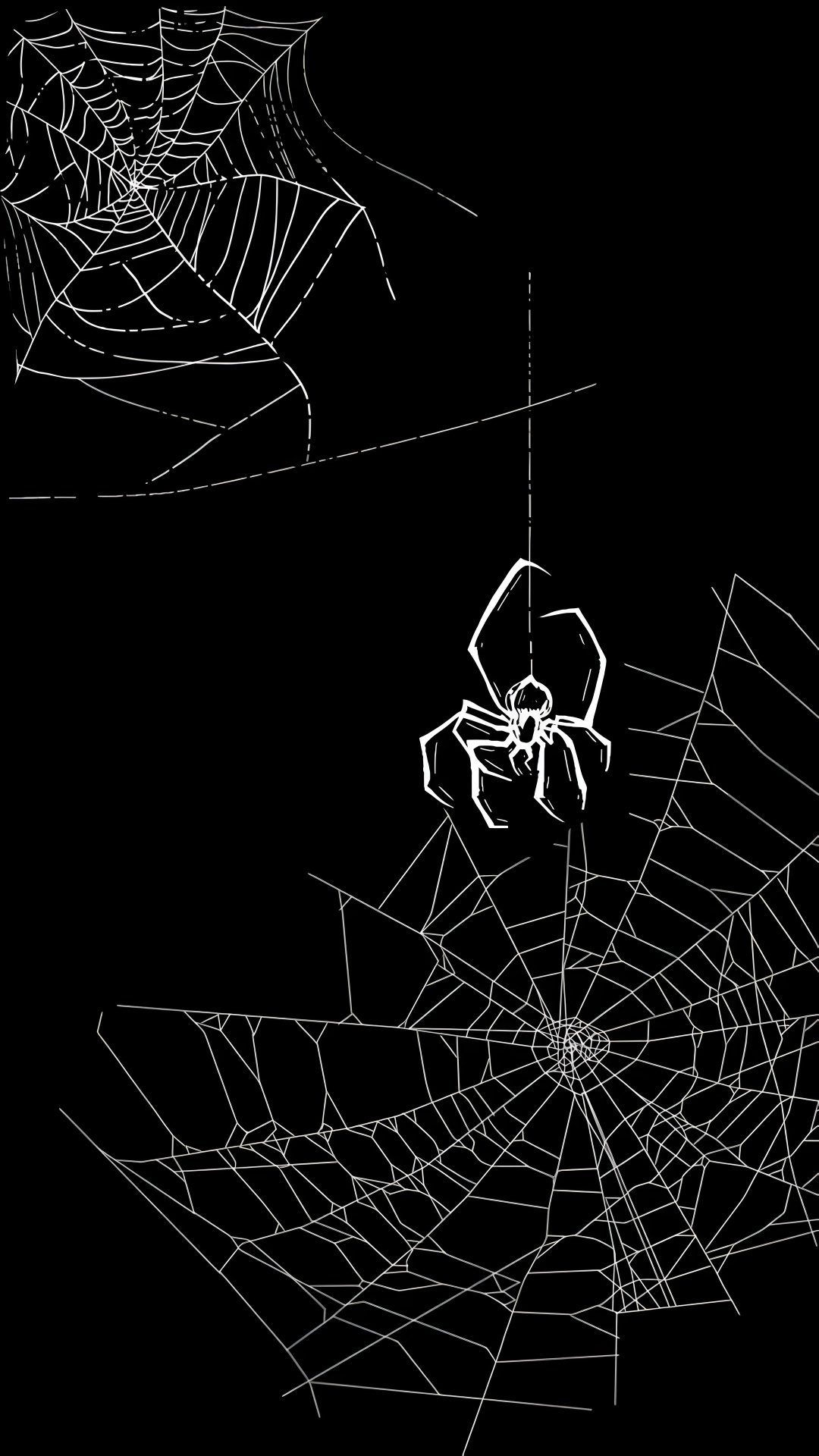 two spider webs in the middle of a black background Halloween Spiders At University Of Texas Spiderman, black