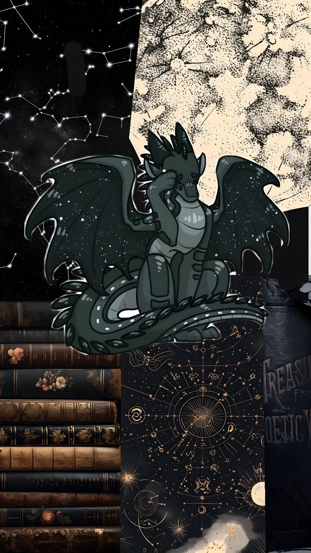 the collage is full of books and an image of a dragon sitting on top of it Wings Of Fire Halloween Wings Of Fire, Stars, Memes, black