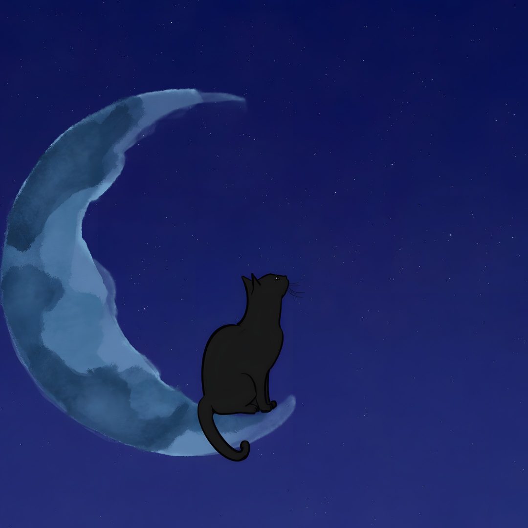 a black cat sitting on the moon at night Halloween Smartwatch Cartoon, Halloween, midnight blue