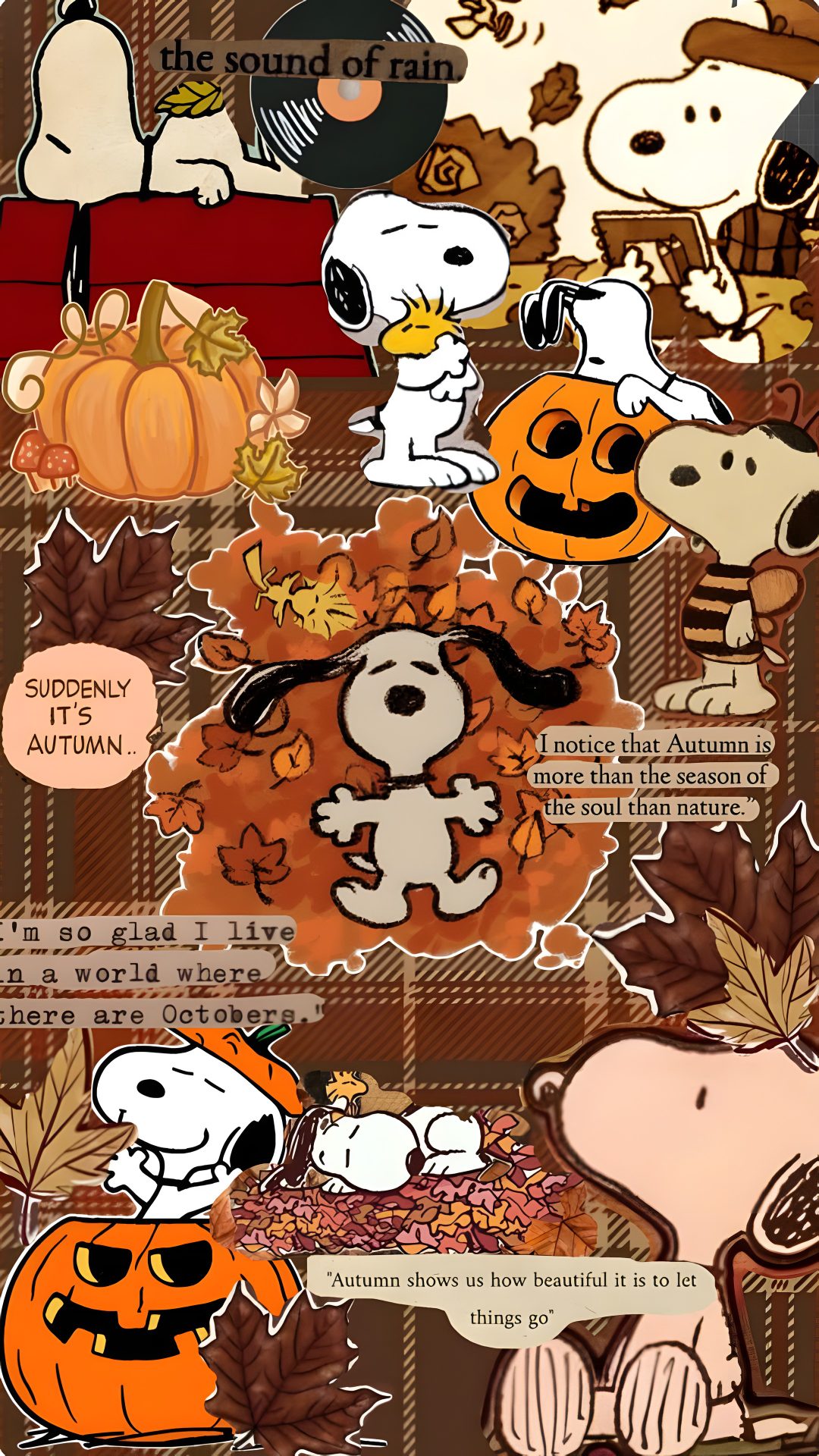 snoop the dog and his friends are all dressed up for halloween with their pumpkins Pinterest Snoopy Halloween Snoopy Halloween Aesthetic, Snoopy, Halloween, sienna
