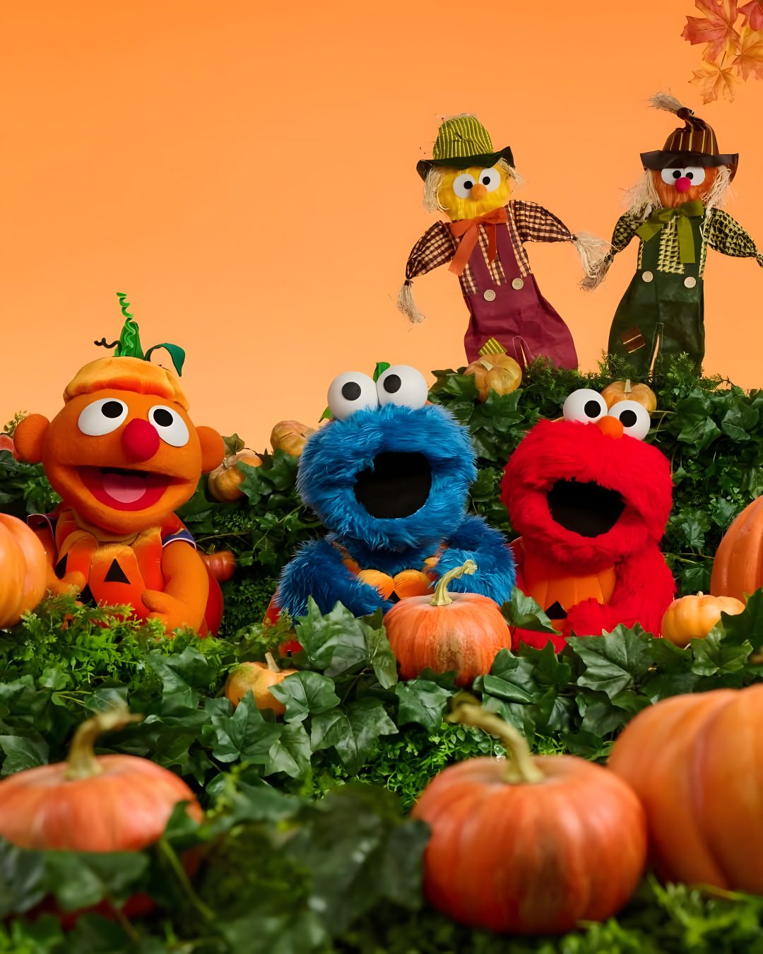the sesame street characters are surrounded by pumpkins and kale leaves in front of an orange background Sesame Street Halloween Vintage Halloween Images, Halloween Images, Puppets, Halloween, sienna