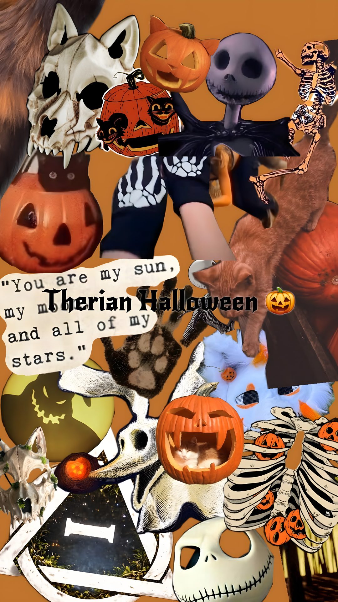 a collage of pumpkins, jack - o'- lanterns and other halloween related items Therian Halloween sienna