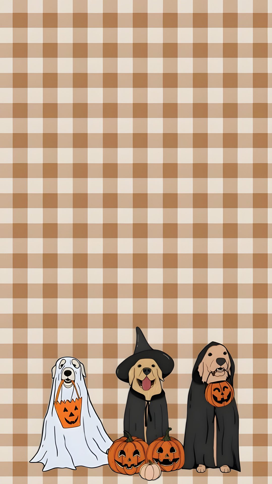 three dogs dressed up as witches and pumpkins on a checkered tablecloth background Halloween Dog Background tan