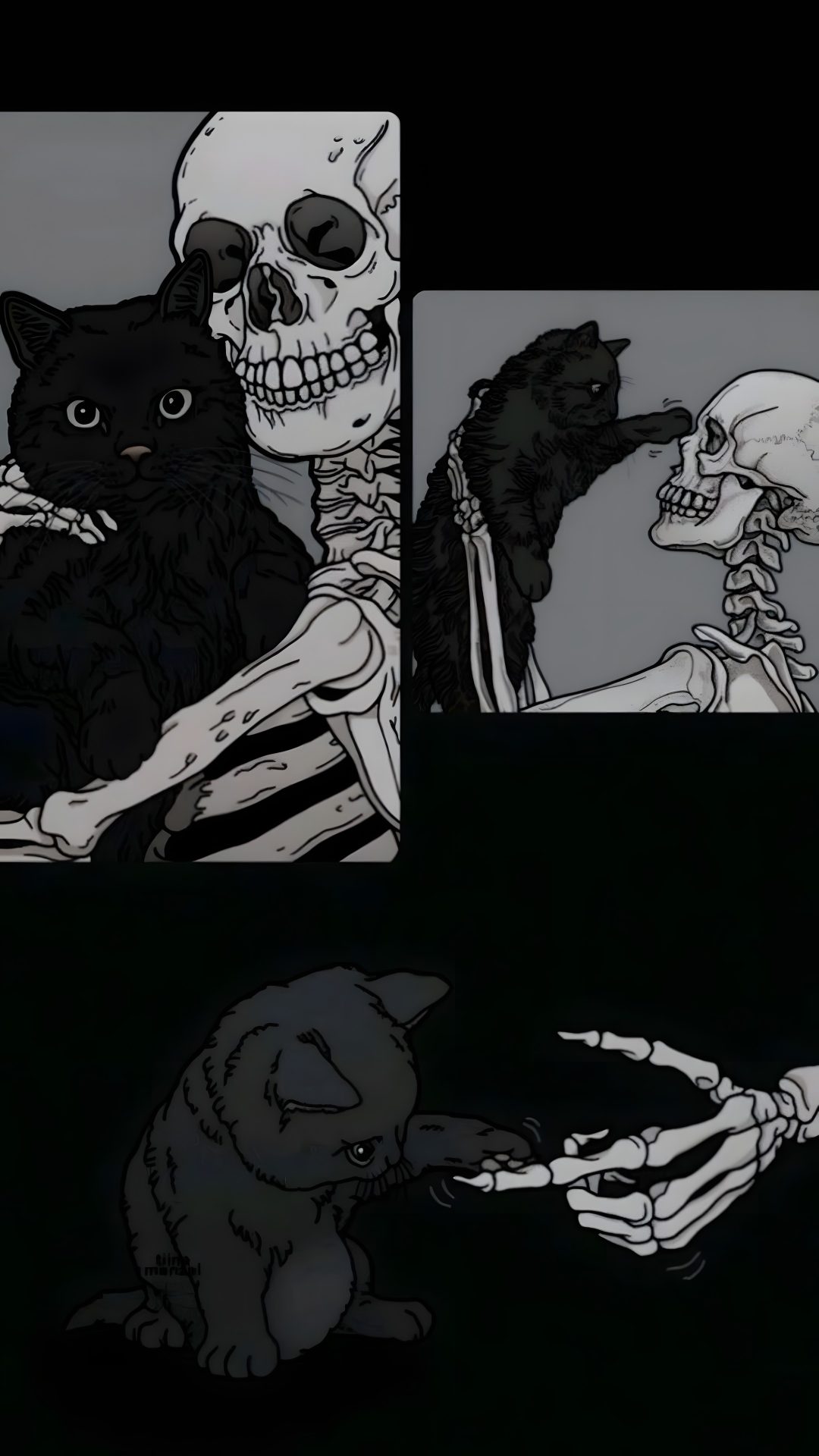 three different pictures of skeletons and cats with one cat sitting on the other's back Kitty Skeleton Halloween Cats black