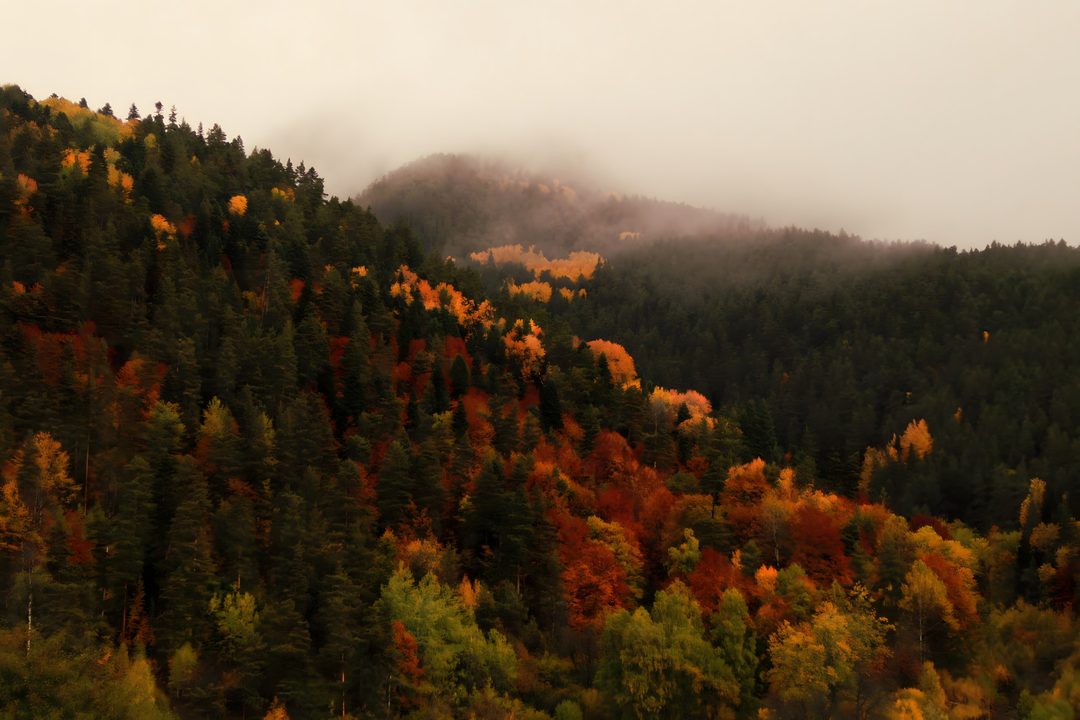 the mountains are covered in colorful trees and foggy weather is coming down on them Halloween Mountain Nature, dark olive green