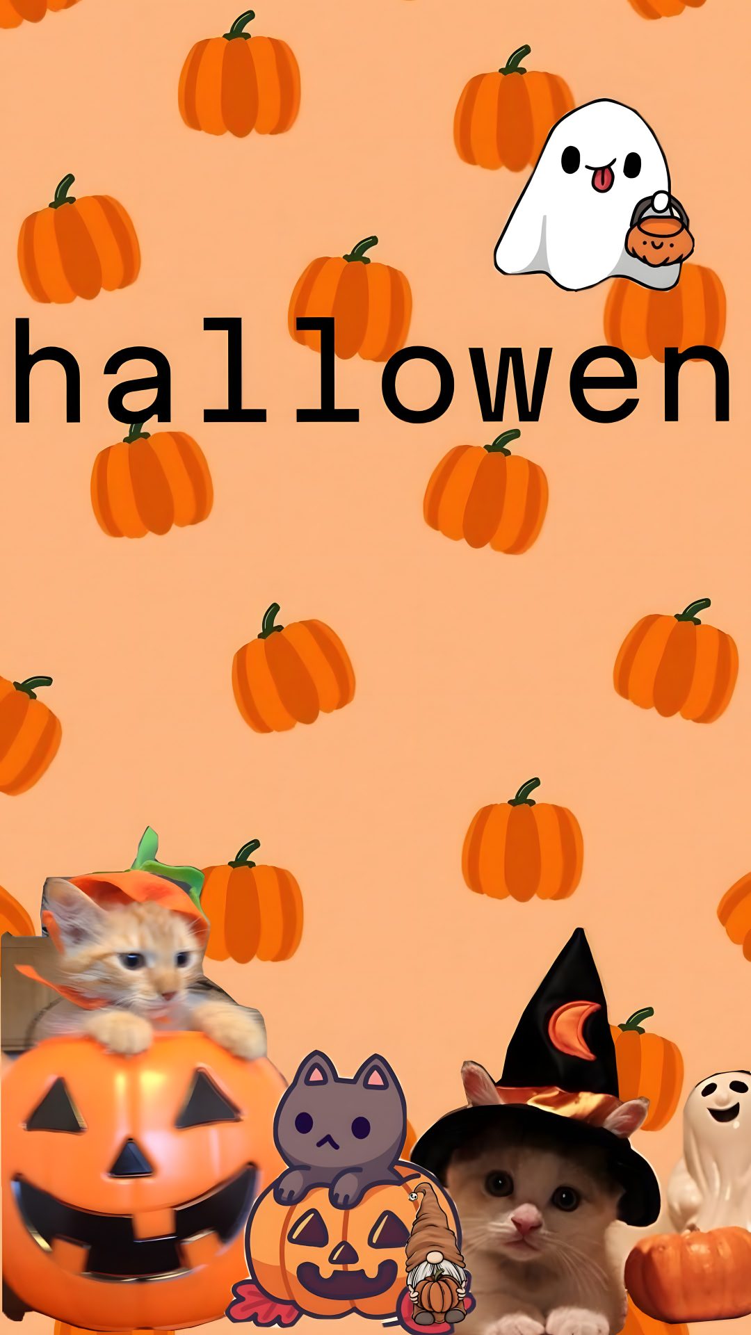 Preppy Halloween Cat light salmon
