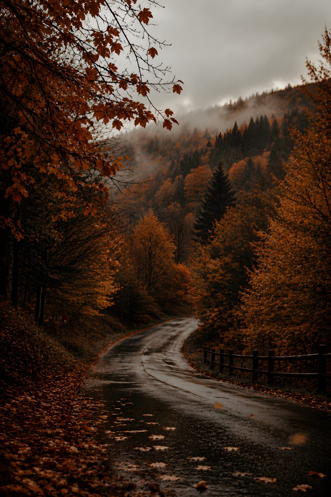 an empty road surrounded by trees with fall leaves on the ground and fog in the air Autumn Aesthetic Autumn Halloween black