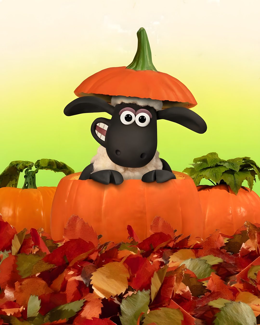 a black sheep sitting on top of a pile of pumpkins with leaves around it Halloween Sheep chocolate