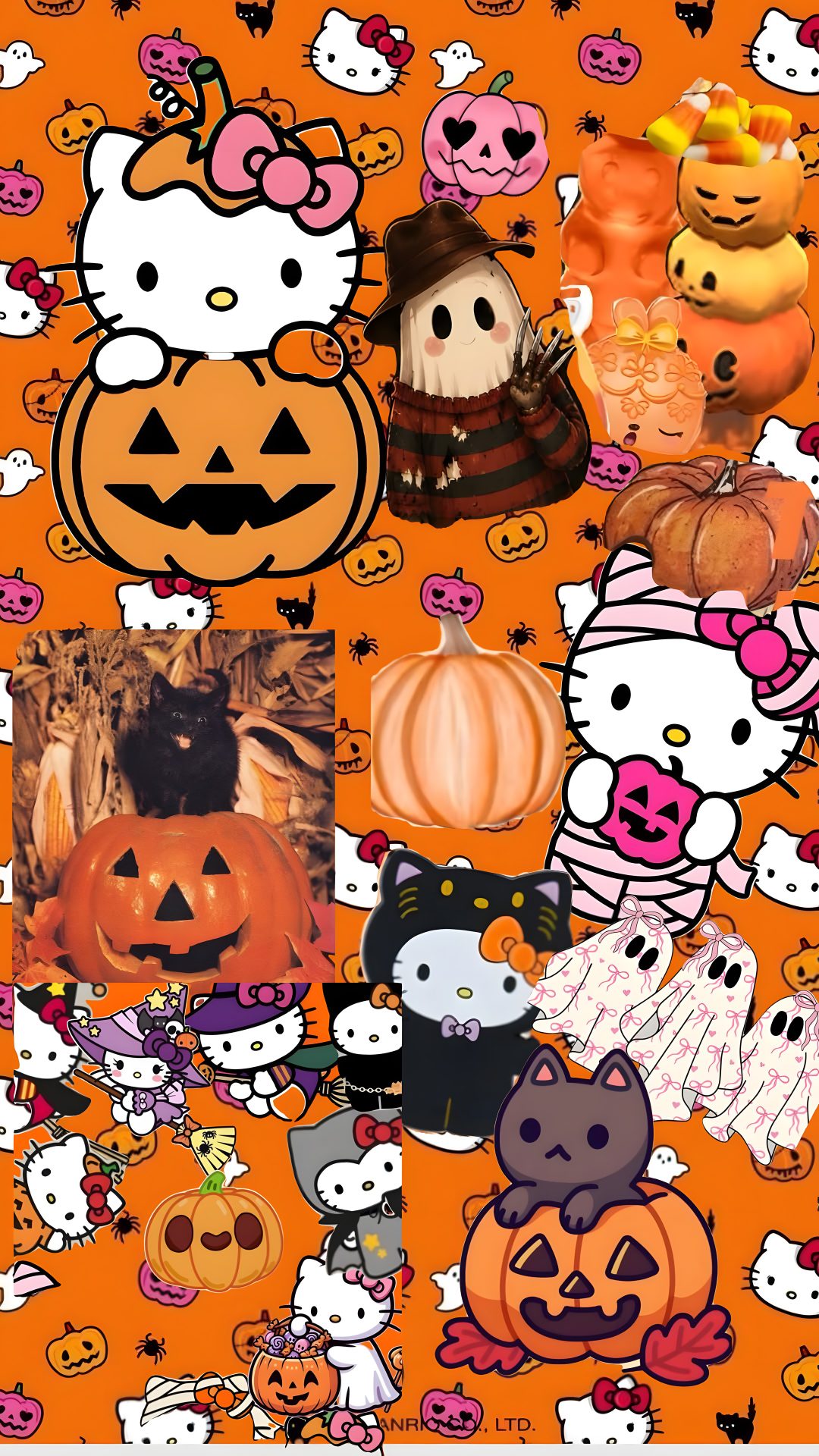 hello kitty halloween collage with pumpkins, cats and other items on an orange background Cute Halloween Hello Kitty chocolate
