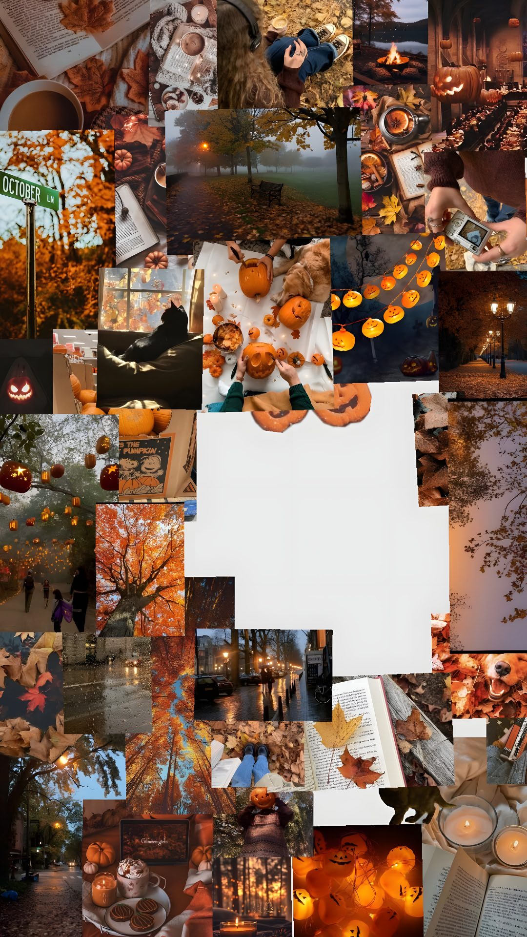 a collage of photos with pumpkins and candles Preppy Halloween Collage sienna