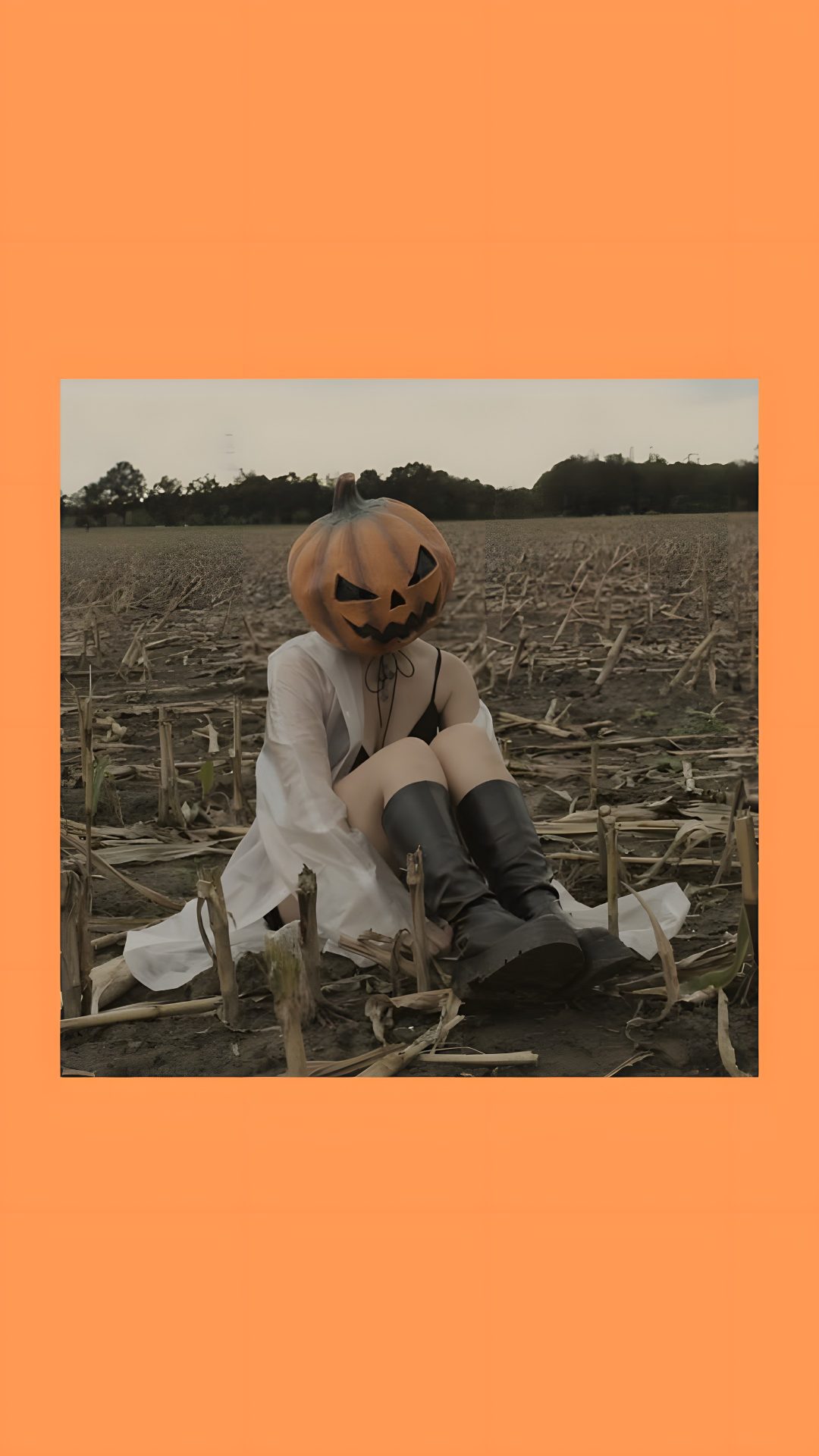 a scarecrow sitting in the middle of a pumpkin patch with her legs spread out Aesthetic Halloween Girl sandy brown