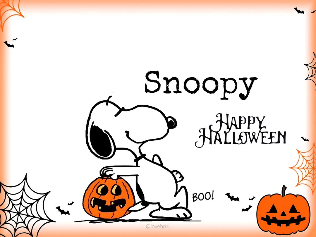 snoopy is sitting on top of a pumpkin Snoopy Halloween Chromebook Snoopy, Halloween Boo, Happy Halloween, Halloween, white