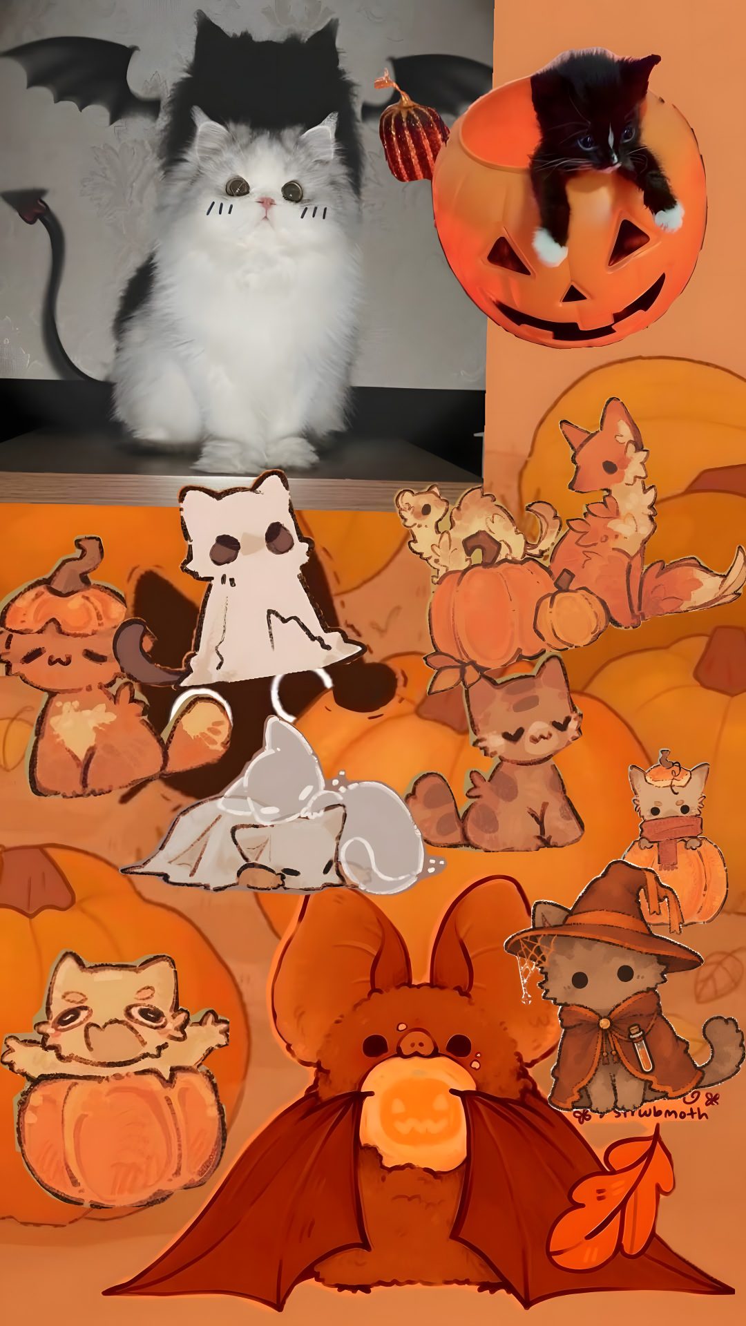 a collage of halloween pictures with cats and pumpkins in the background, along with an image of a cat wearing a bat Cute Halloween With Cats chocolate