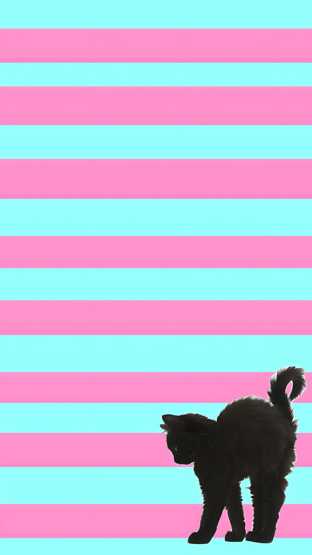 a black cat standing on top of a pink and blue striped wall Halloween Cat Stripes medium purple