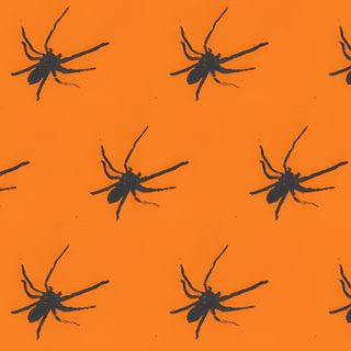 black spider silhouettes against an orange background Halloween Spiders At University Of Texas Spider Fabric, Black And Yellow Spider Texas, Orange And Black Spider Print,