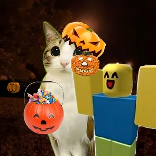 a cat is sitting in front of some blocks and pumpkins with faces on them Halloween Roblox black