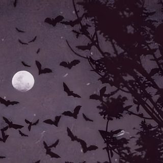 a flock of bats flying in the night sky with a full moon and tree silhouettes Halloween Bat Laptop Vampire Aesthetic Laptop, Goth Laptop Aesthetic, Edgy For Laptop, dark slate gray
