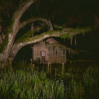 a tree with moss growing on it next to a small cabin in the woods at night Halloween Swamp Southern Gothic Atmosphere, Swamp House Louisiana Background, Night At The Bayou, black