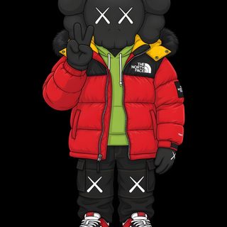 a black bear wearing a red jacket and green shirt, standing in front of a black background Halloween Kaws Sneakers, Nike Logo, Calligraphy Doodles, Kaws, Hypebeast, Art Toys Design, black