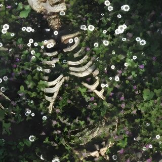 there is a skeleton in the grass with flowers Halloween Plant Ecosystemic Horror, Forest Imagery, Fantasy Aesthetic Pictures, dark slate gray