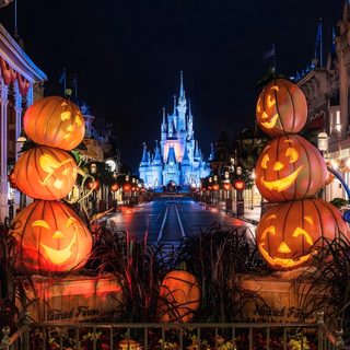 pumpkins on display in front of the castle at night Walt Disney World Halloween World Of Octobers, Walt Disney World Halloween, Halloween En Disney, black