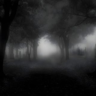 black and white photo of foggy graveyard with trees in the foreground at night Halloween Ghost Tree Dark Gothic Aesthetic Computer, Gothic Forest Background Aesthetic, Dark Foggy Cemetery Atmosphere, black