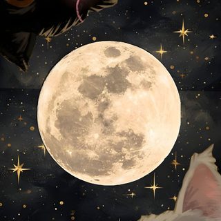 two cats staring at the moon with stars in the sky behind them and one cat's head sticking out Matching Halloween Cat And Dog, Gatos, Phone Background, Cartoon Sun, Cats Art Drawing, dark slate gray