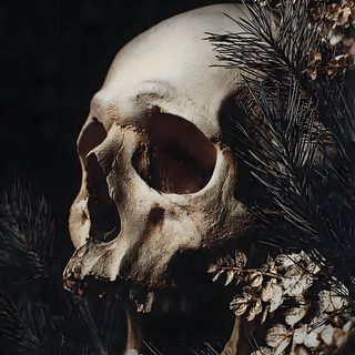 a human skull sitting on top of a pine tree Halloween Thorny Skulls Warm Gray Evolution Tattoo, Hyperrealistic Drawing, Graphite Art, Goth Decor, black