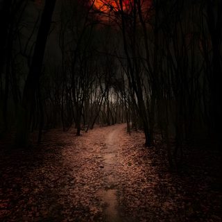 a path in the woods at night with red light coming from behind trees and leaves on the ground Halloween Woods Dark Forest Mountain, Forest Night Moon, Scenery Video Aesthetic, black