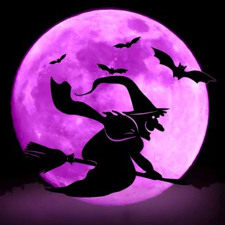 the silhouette of a witch flying in front of a full moon Pink Halloween Gif Good Night Love Pictures, Happy Halloween Pictures, Scary Photos, Purple Crayon, black