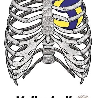 an image of a volleyball ball in the skeleton's ribcage with words volleyball on it Volleyball Halloween Red Volleyball Background, Volleyball Going Over Net Drawing, Heart-shaped Volleyball Drawing, white