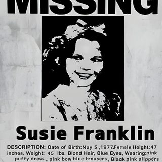 the missing poster for susan franklin Missing Halloween Poster Missing Poster Aesthetic, Fnaf Missing Poster, Halloween Missing Poster, silver