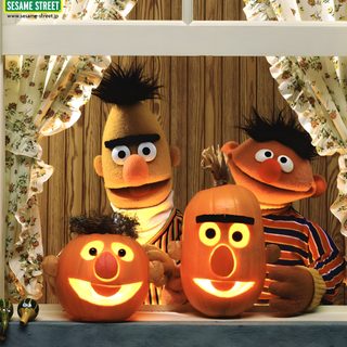 sesame and bert pumpkins on display in front of a window with the faces carved into them Sesame Street Halloween Sesame Street Pumpkin Carving, Sesame Street Pumpkins, Bert Ernie Pumpkins, sienna