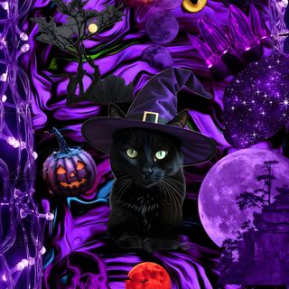 a black cat wearing a witches hat surrounded by halloween decorations and pumpkins with glowing eyes Halloween Purple Cats Custom midnight blue