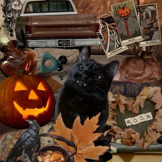 a collage of halloween items including a cat, pumpkins and other things in front of a car Halloween Junk October Halloween Aesthetic, Fall Witch Aesthetic, Halloween Aesthetic, dark olive green