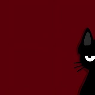 a black cat with white eyes and long whiskers stands in front of a red background Halloween Red 4k Notebook 1920x1080, Nice Keyboard, Lockscreen Laptop Hd, Laptop Pfp Aesthetic, maroon