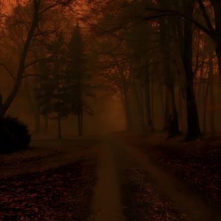 a dirt road in the middle of a forest Halloween Woods Cozy Fall Aesthetic Iphone, Dark Fall Aesthetic, Dark Moody Phone, Fall Aesthetic Dark, black