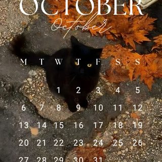 a black cat sitting on top of a sidewalk next to autumn leaves and a calendar October 2025 Calendar Halloween October Calendar, October Calendar Iphone, October, dark olive green