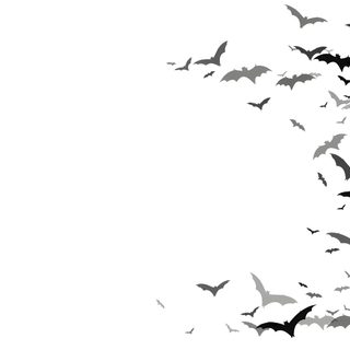 a flock of bats flying through the air Halloween Bats Desktop Bat Background Images, Bat Themed Background, Halloween Bats Transparent Background, white