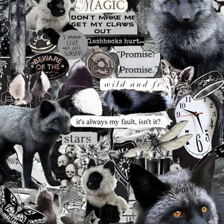 a collage of different types of animals and things that are in black and white Therian Halloween Creative Wall Art Inspiration, Black And White Fox Art, Gothic Animal Collage, dim gray