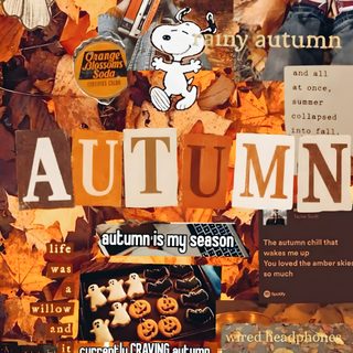 an autumn collage with pumpkins, candles and other items on it's surface Halloween Fall Aesthetic sienna