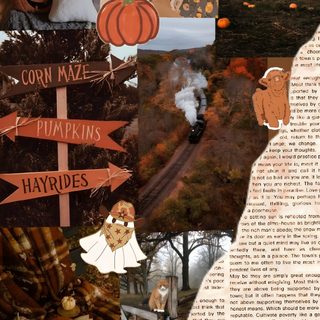 a collage of images with words and pictures on them, including horses, pumpkins, hay Halloween Cowgirl Country Halloween, Country Fall, Western Halloween, Paradise Love, saddle brown