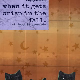 three black cats sitting on top of pumpkins with a quote above them that says life starts all over again when it gets crisp in the fall Halloween Quotes Aesthetic sienna