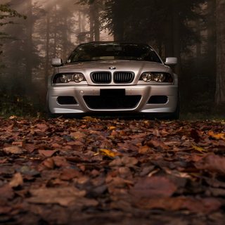 a silver car parked in the middle of a forest Bmw Halloween Autumn Forest Car Photography, Bmw In Fall Scenery, Car In Forest With Autumn Leaves, black